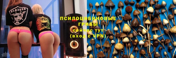 mdpv Богородск