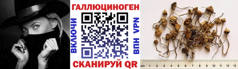 ссылка на мегу ссылка  Шумиха  Псилоцибиновые грибы GOLDEN TEACHER 